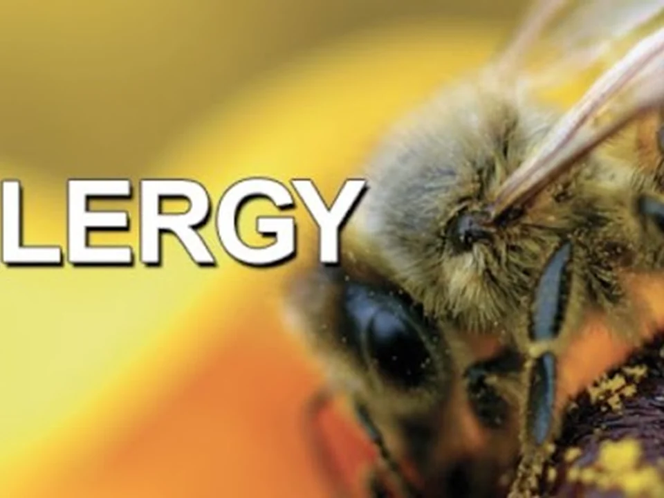 Allergy & Asthma Specialty Services, Seattle