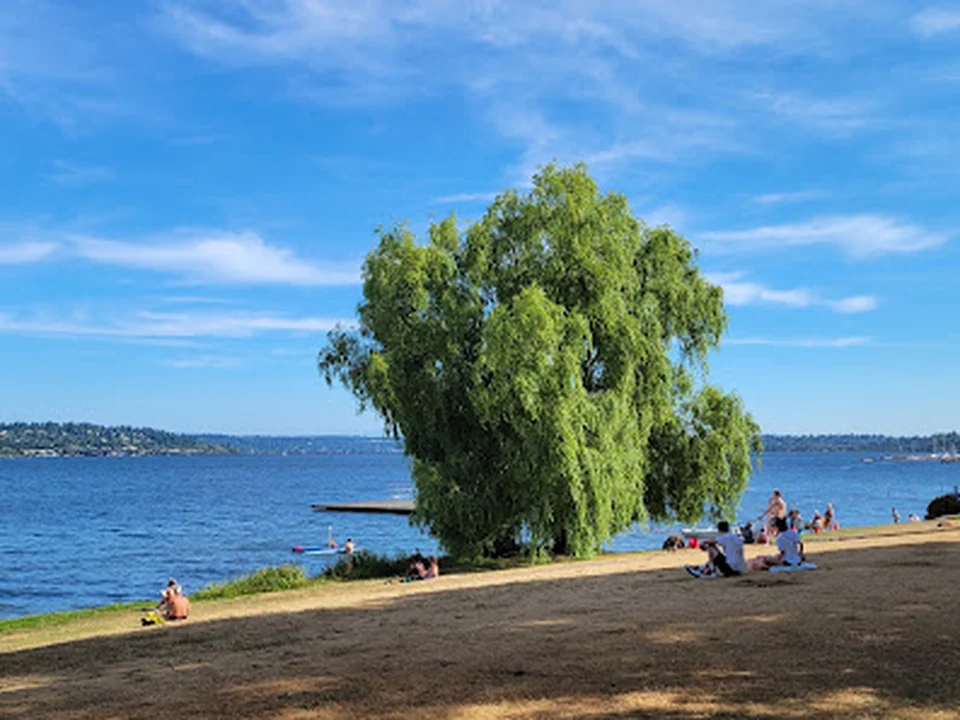 Madrona Park, Seattle