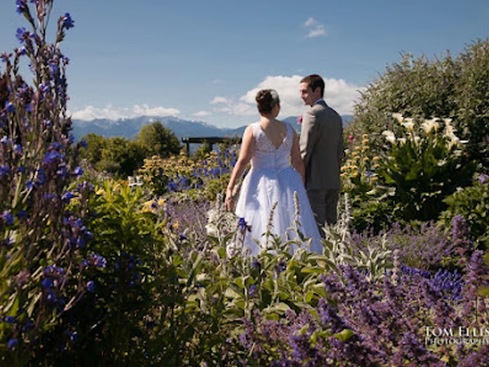 Tom Ellis Photography, Seattle