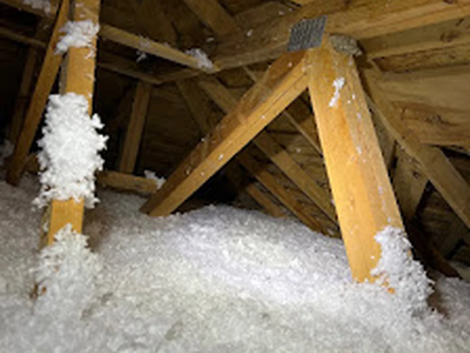 Oaktree Home Inspections & Sewer Scopes, Seattle