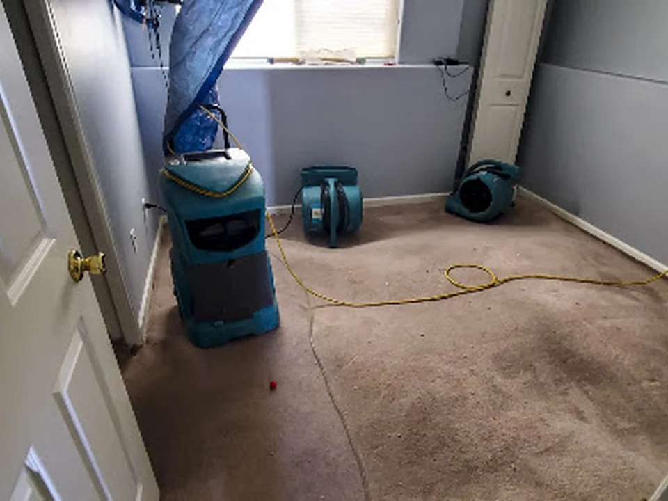 A1 Restoration, Seattle