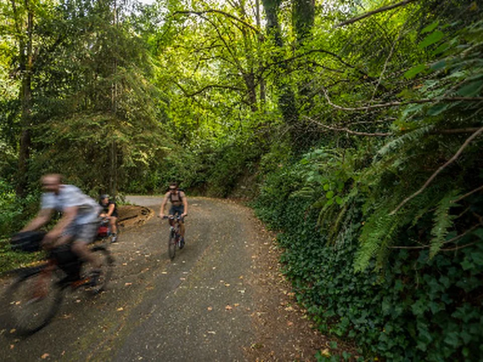 Interlaken Park, Seattle