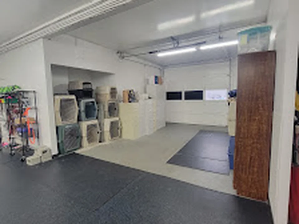 Family Dog Training Center, Seattle