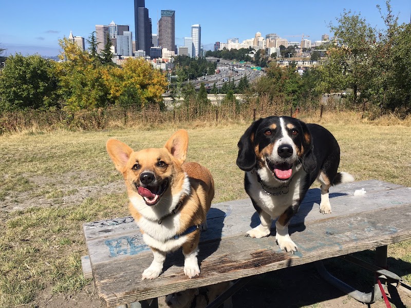 Motley Crew LLC, Seattle