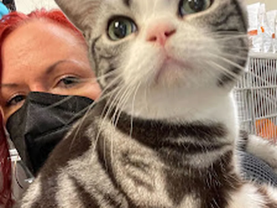 North Seattle Veterinary Clinic