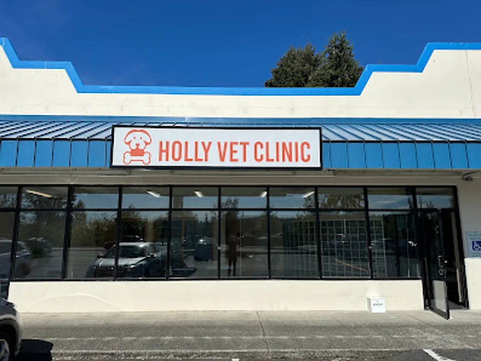 Holly Vet Clinic, Seattle