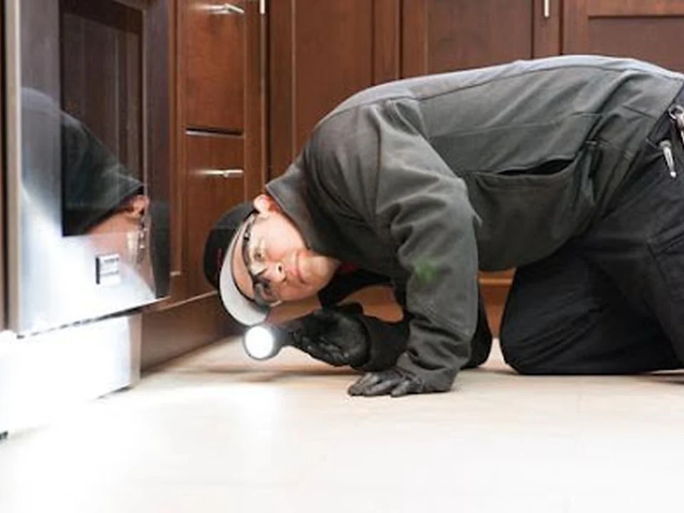 Eastside Exterminators, Seattle