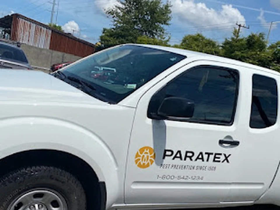 Paratex Pest Prevention, Seattle