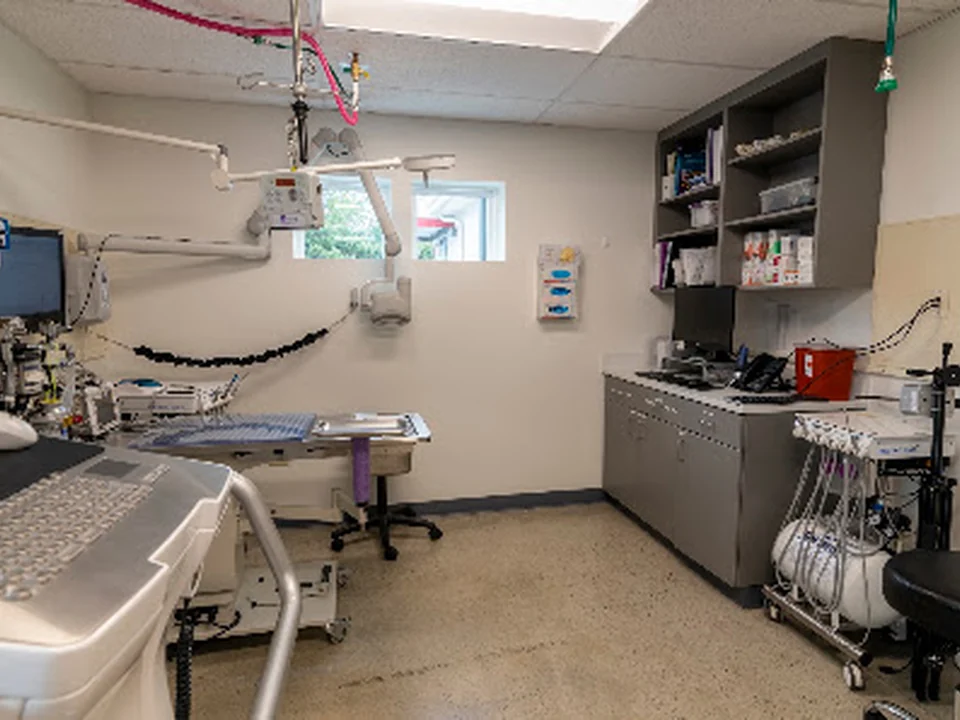 Animal Medical Center of Seattle Specialty Clinic