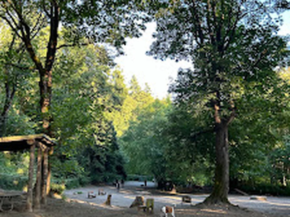 Golden Gardens Off Leash Area, Seattle