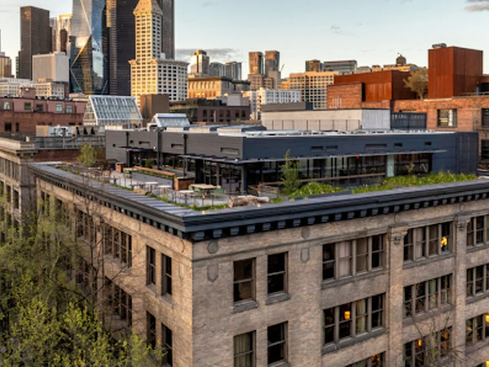 Populus Seattle