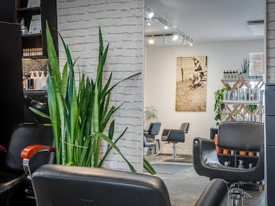 Hazel Salon & Organics, Seattle