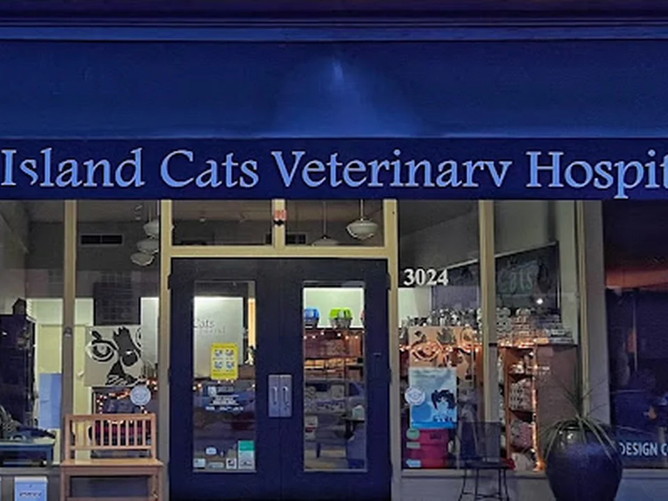 Island Cats Veterinary Hospital, Seattle