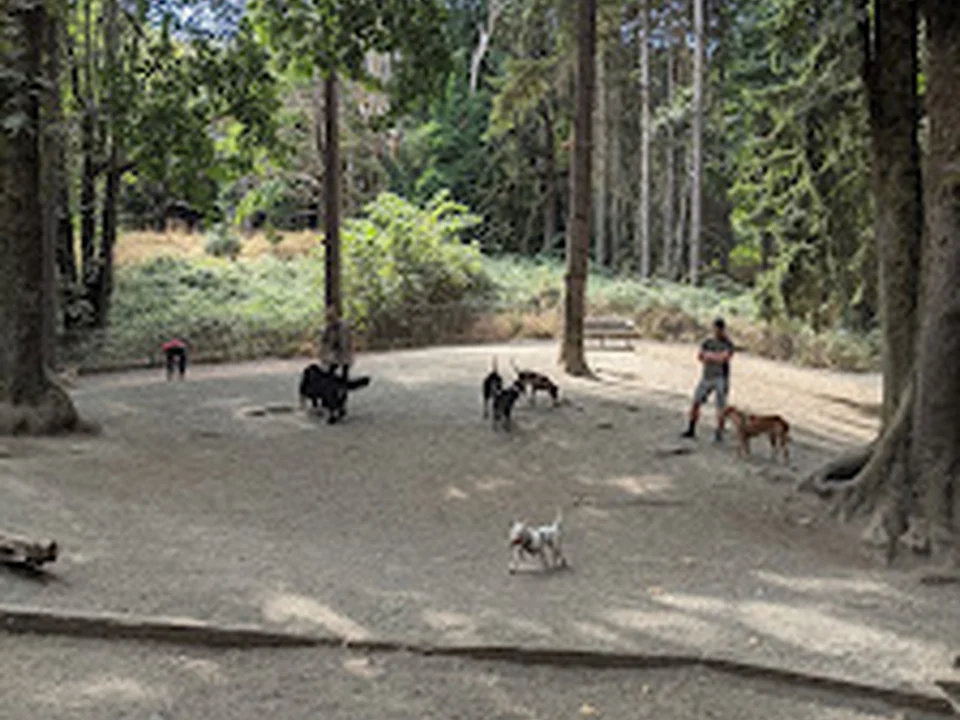 Lower Woodland Dog Park Off Leash Area, Seattle