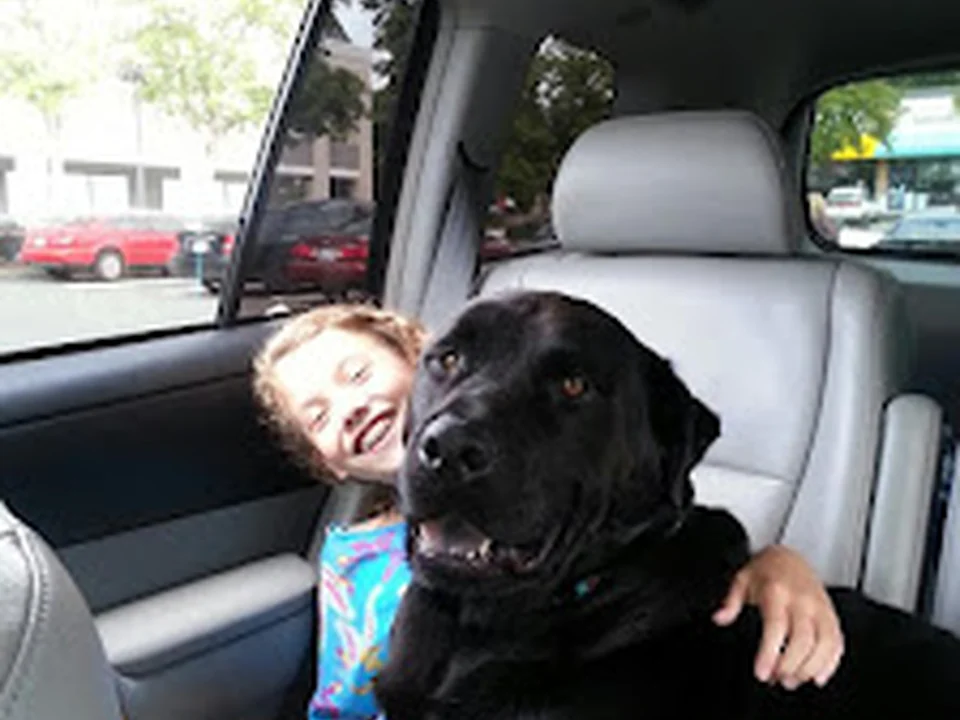 Any Breed Training, Seattle