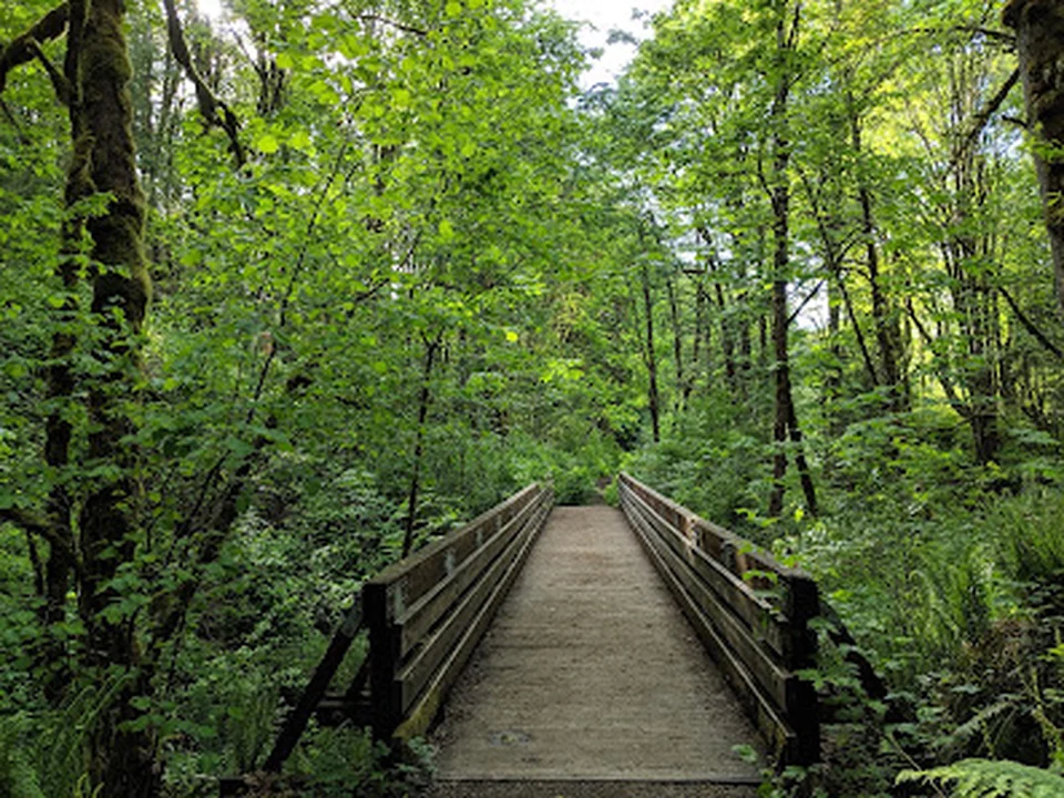 Coal Creek Natural Area, Seattle