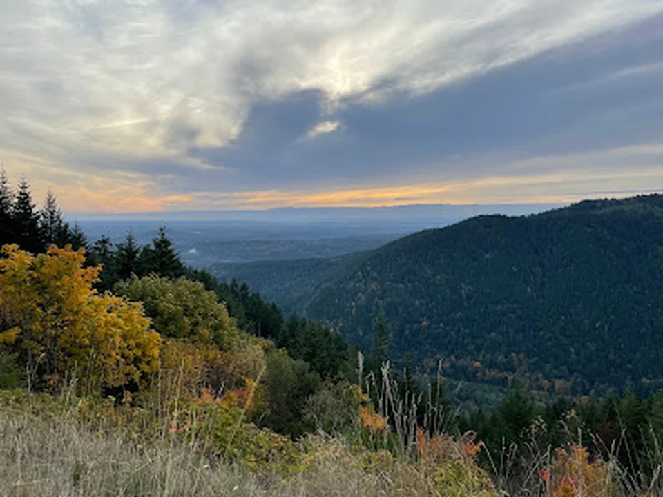 Tiger Mountain State Forest, Seattle