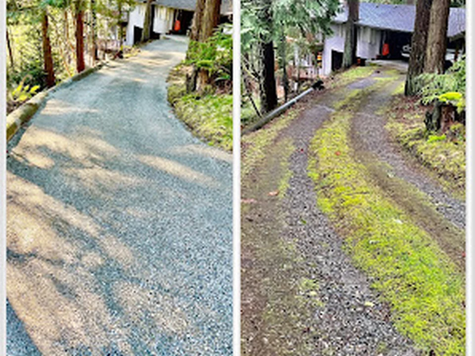 Precision Landscape LLC, Seattle