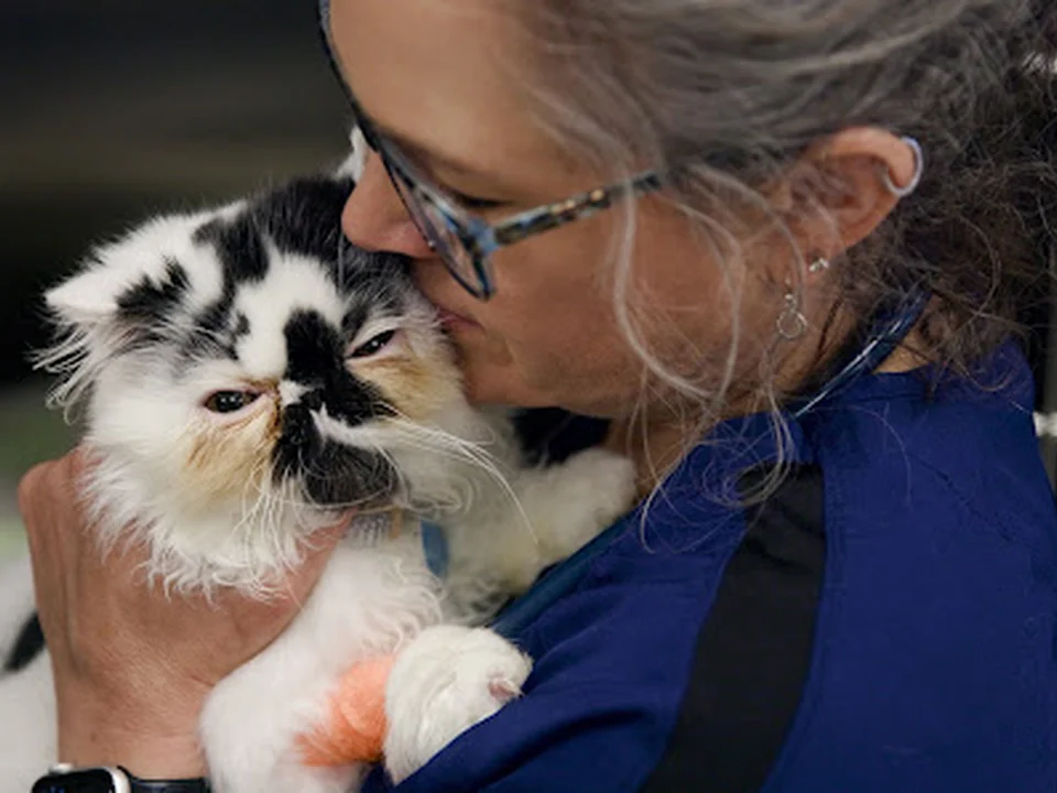 Woodinville Veterinary Hospital & Urgent Care Services, Seattle