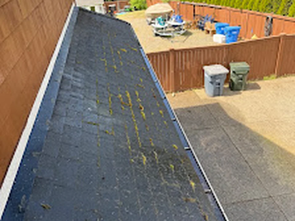 Ken Cleaning Services LLC, Seattle