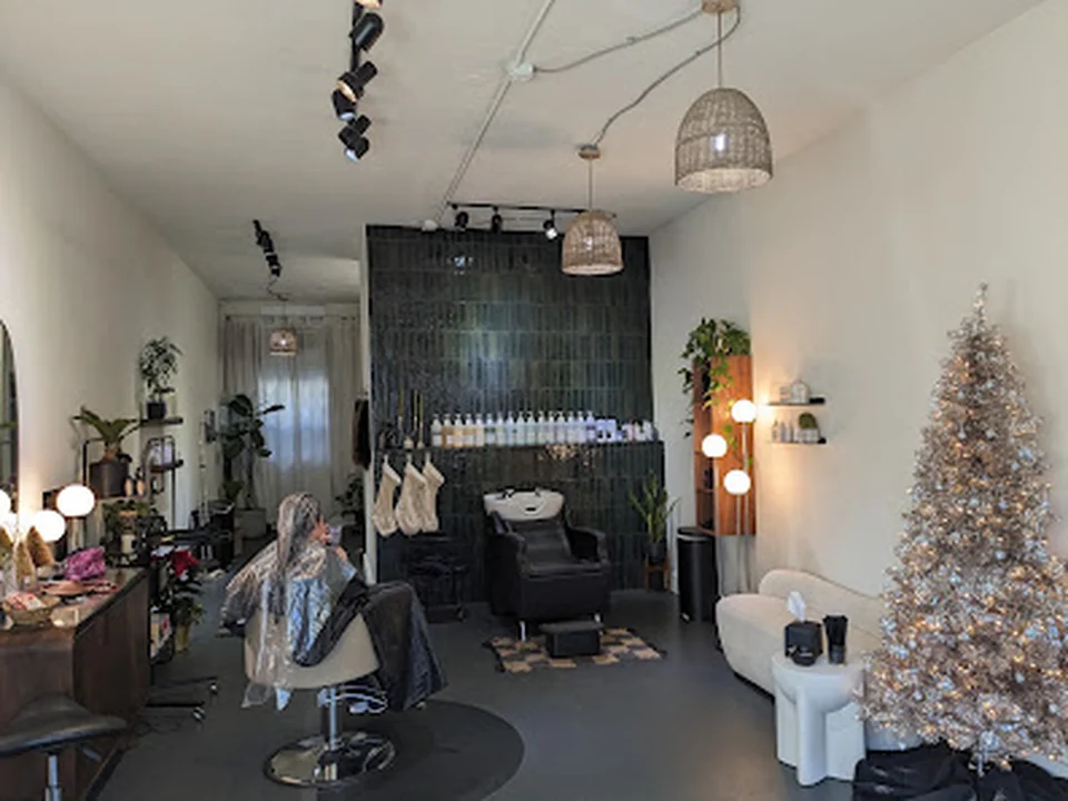 Scout Salon, Seattle