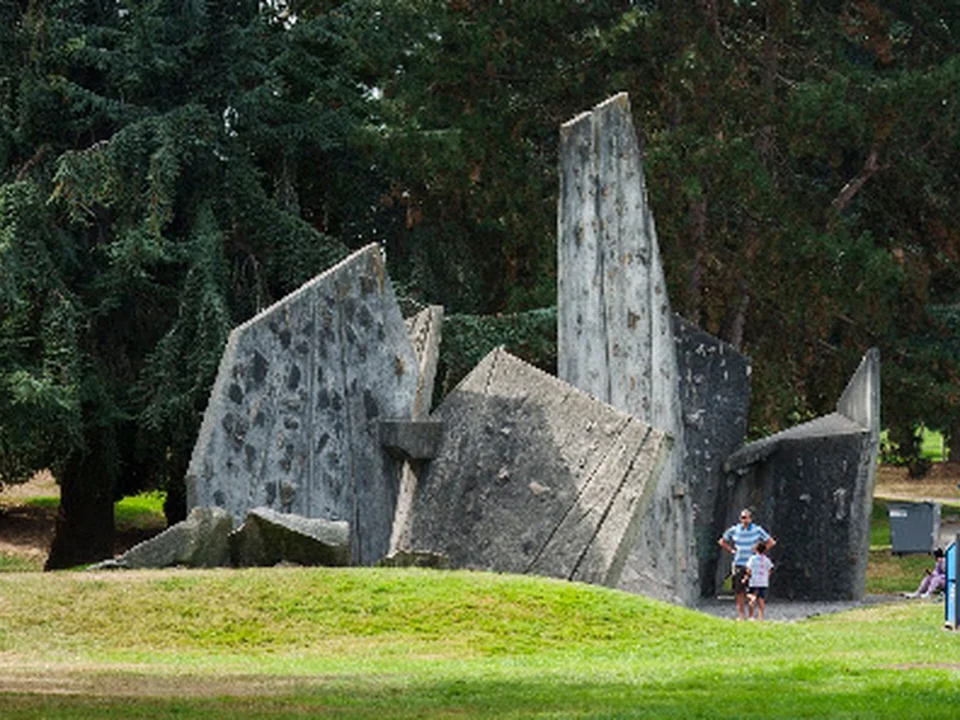 Husky Climbing Rock, Seattle