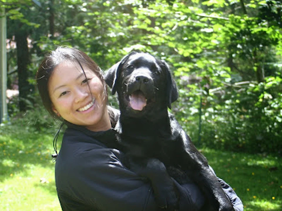 Companion Animal Hospital, Seattle