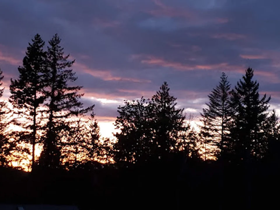 Custom Bookkeeping & Accounting Solutions, Seattle