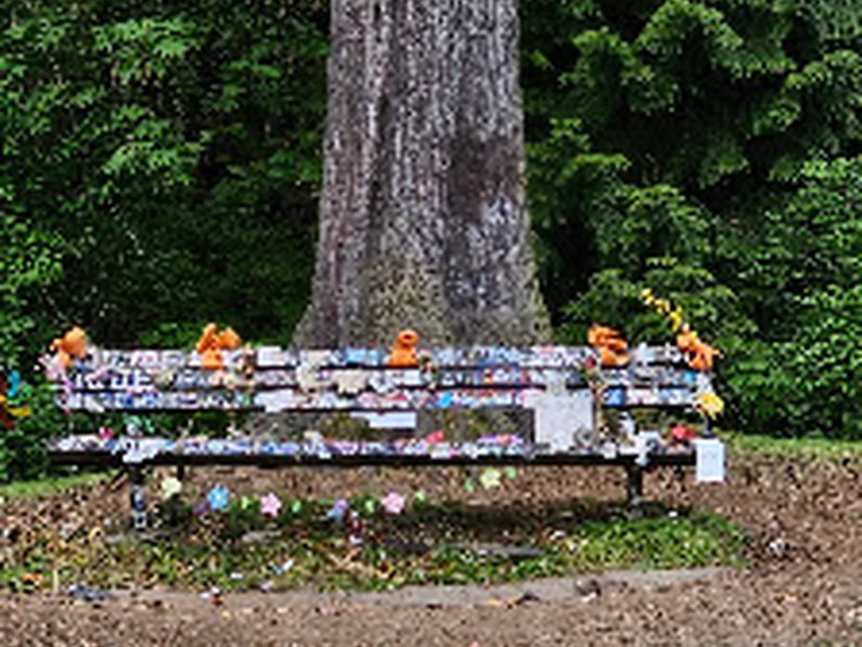 Kurt Cobain Memorial Bench, Seattle