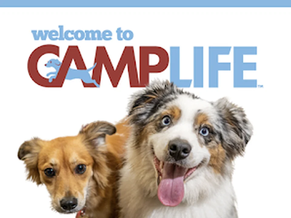 Camp Bow Wow Silverdale, Seattle