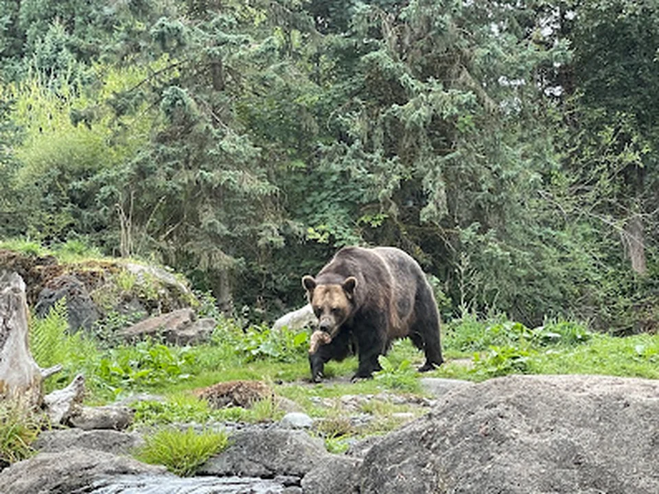 Woodland Park Zoo, Seattle