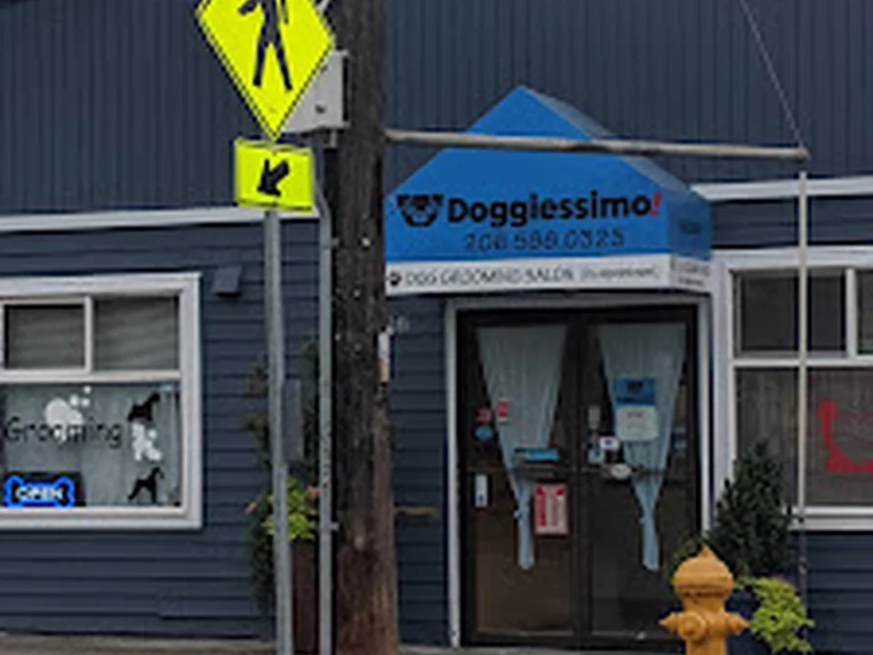 Doggiessimo, Seattle