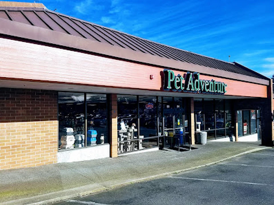 Pet Adventure, Seattle