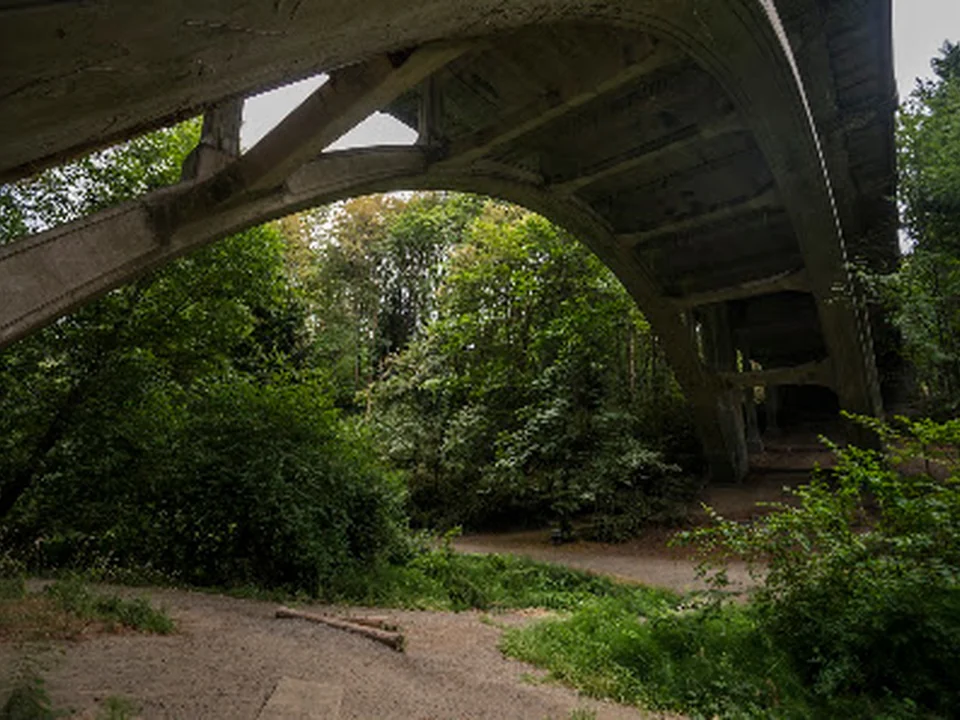 Ravenna Park, Seattle
