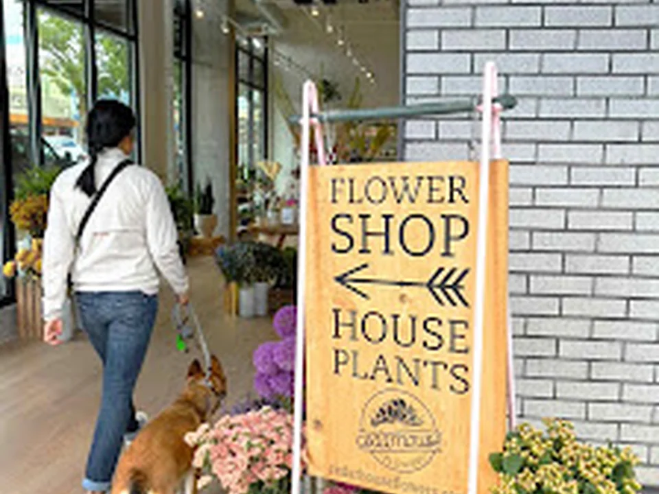 Cedarhouse Flowers, Seattle