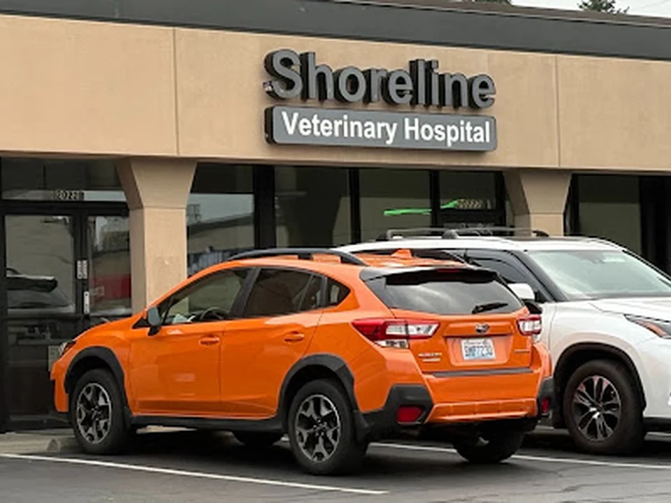 Shoreline Veterinary Hospital, Seattle