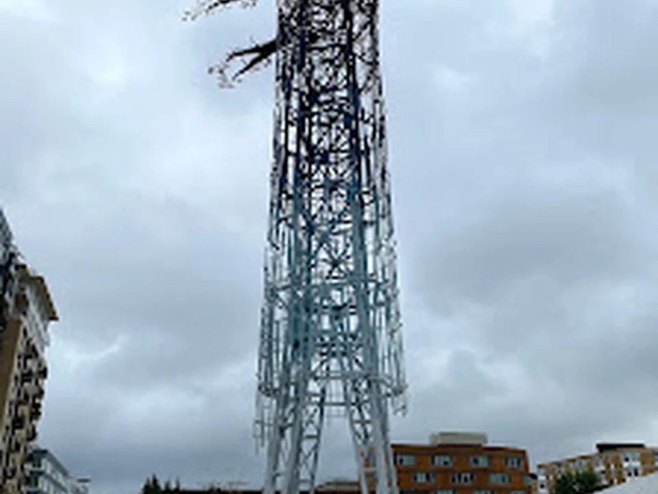 Public Art "Transforest", Seattle
