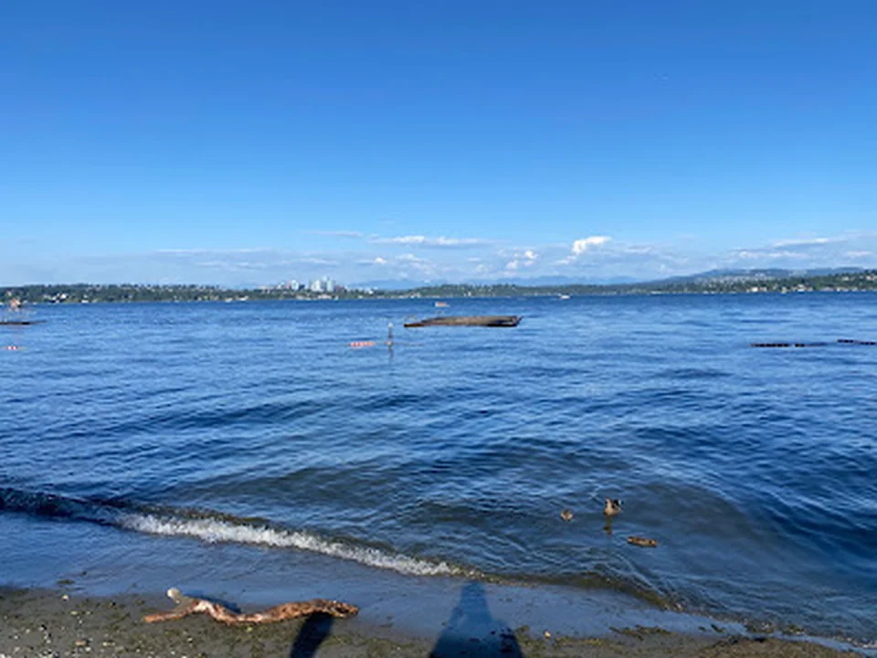 Madrona Park Beach, Seattle