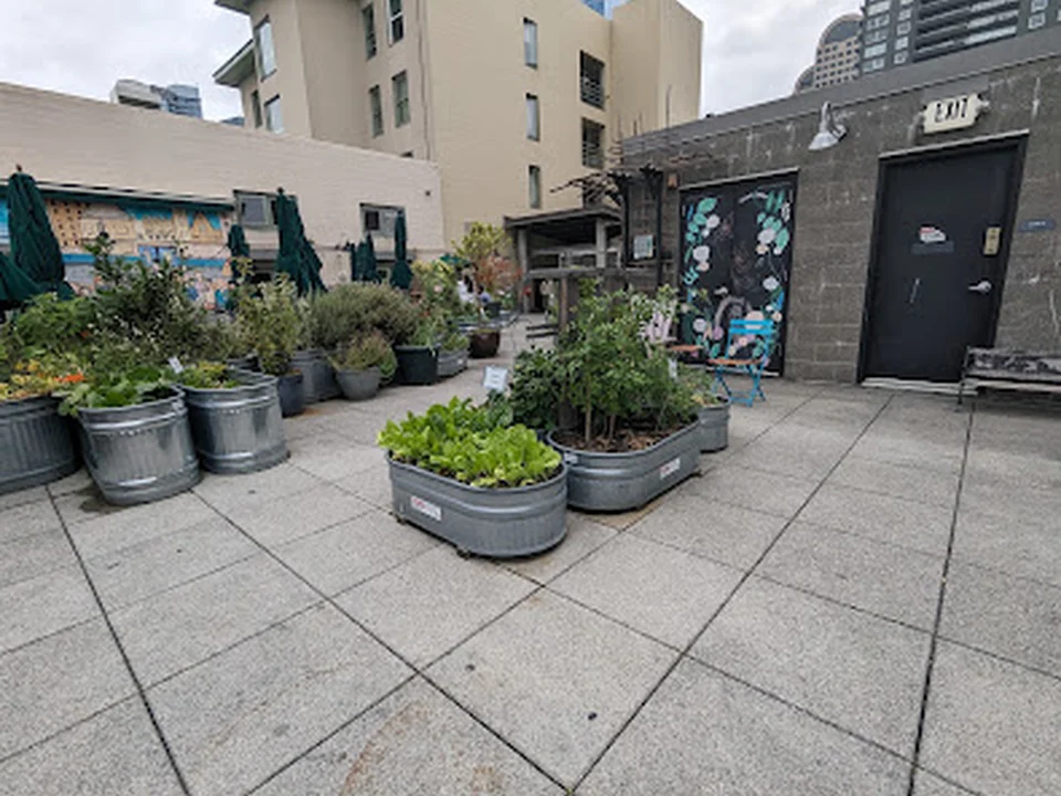 The secret garden, Seattle