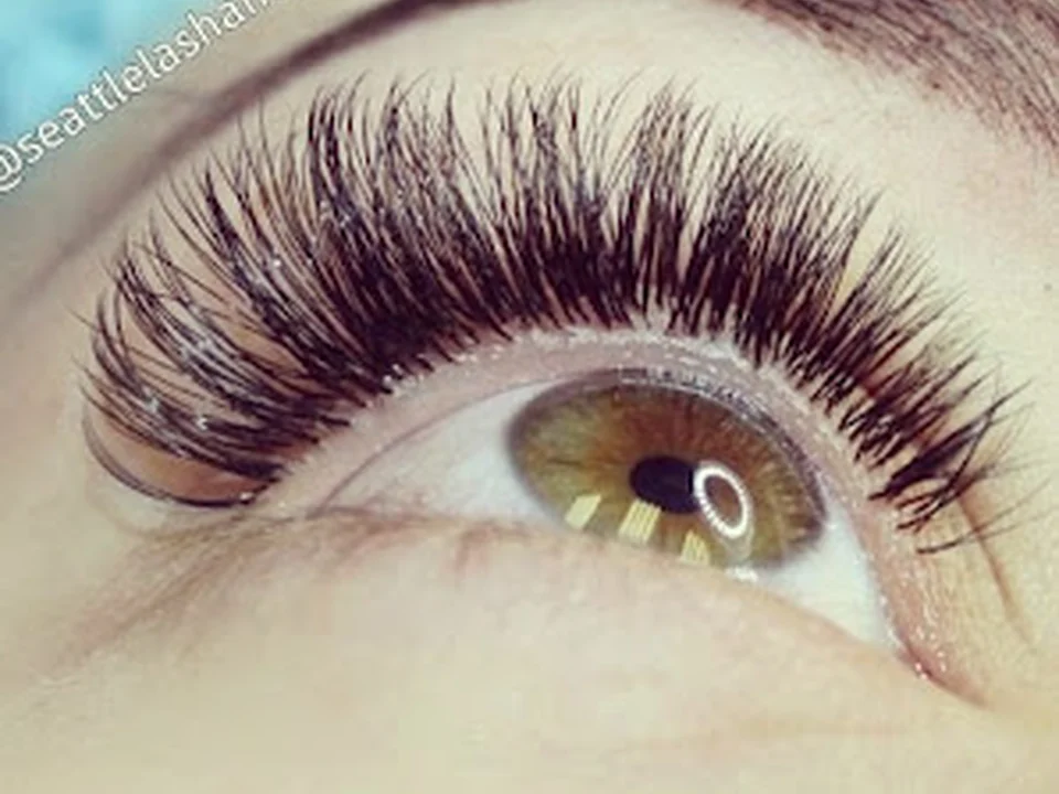 Lash On Wax Off, Seattle