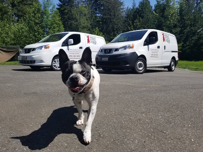 Strut The Pup | Seattle Dog Walkers & Pet Sitters