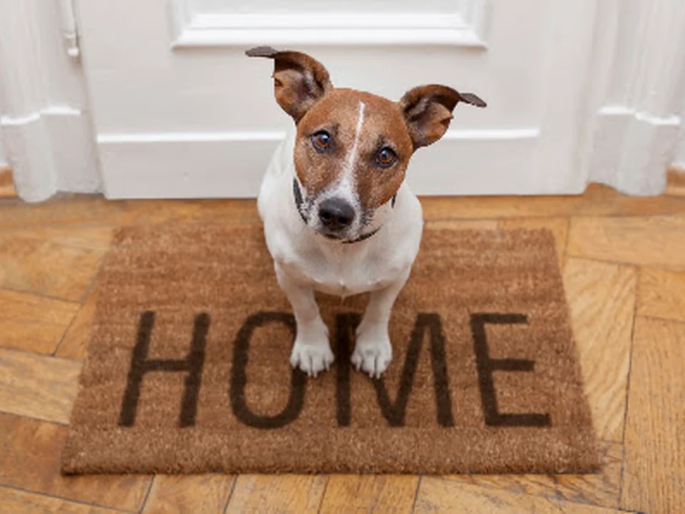 Dwellings Seattle Property Management
