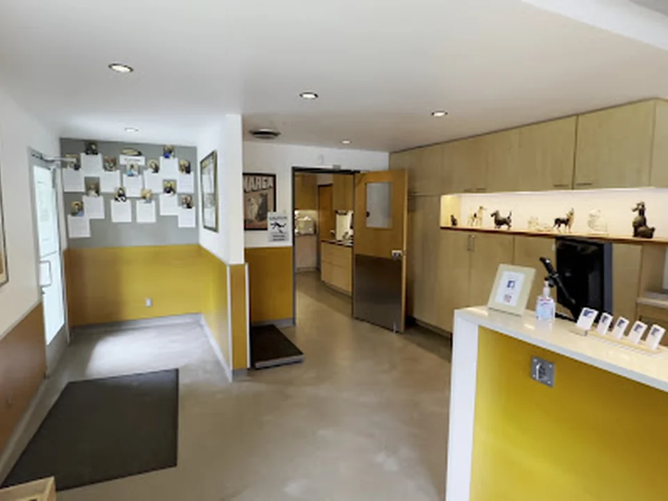 Animal Hospital of Factoria, Seattle