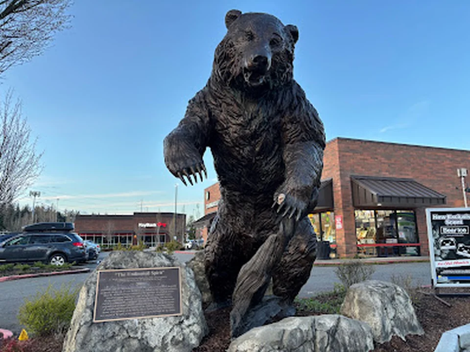 Brown Bear Car Wash, Seattle