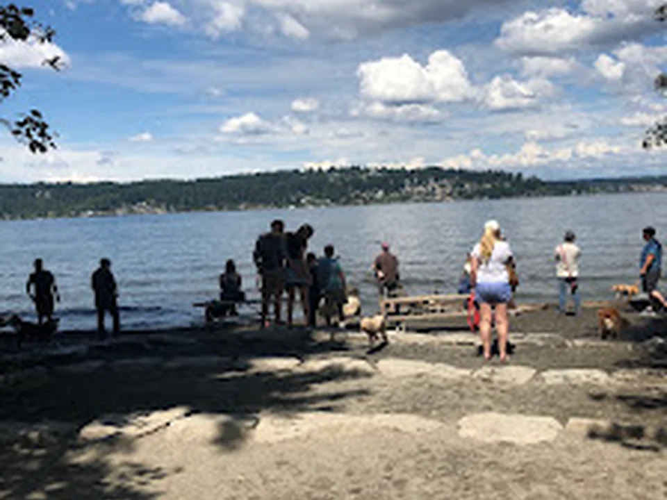 Warren G. Magnuson Park Off Leash Area, Seattle