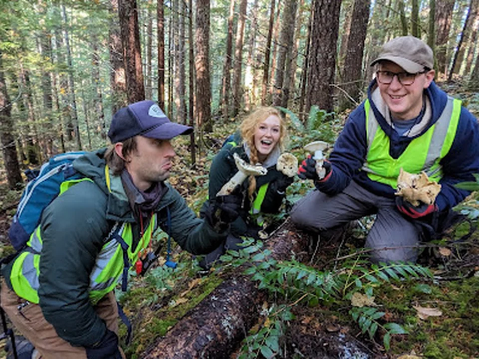 Forage Seattle