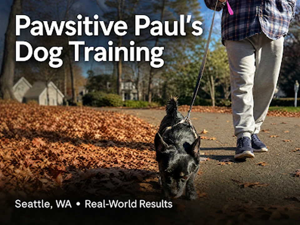 Pawsitive Paul's Dog Training, Seattle