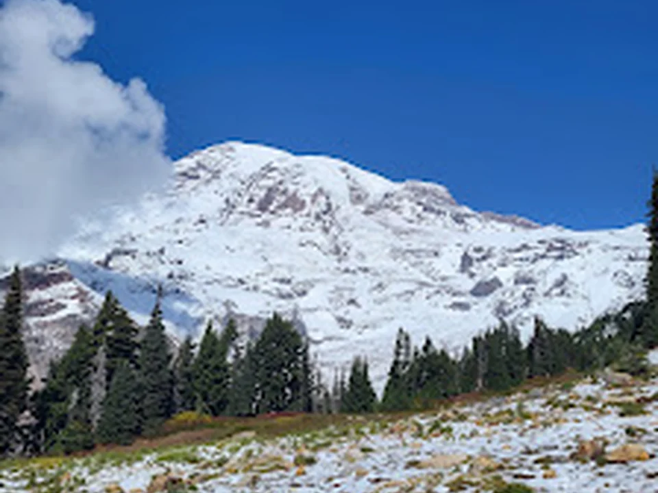 Evergreen Escapes, Seattle