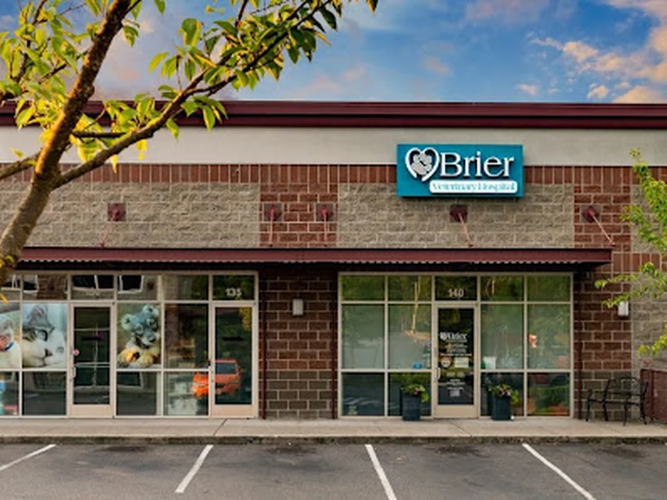 Brier Veterinary Hospital, Seattle