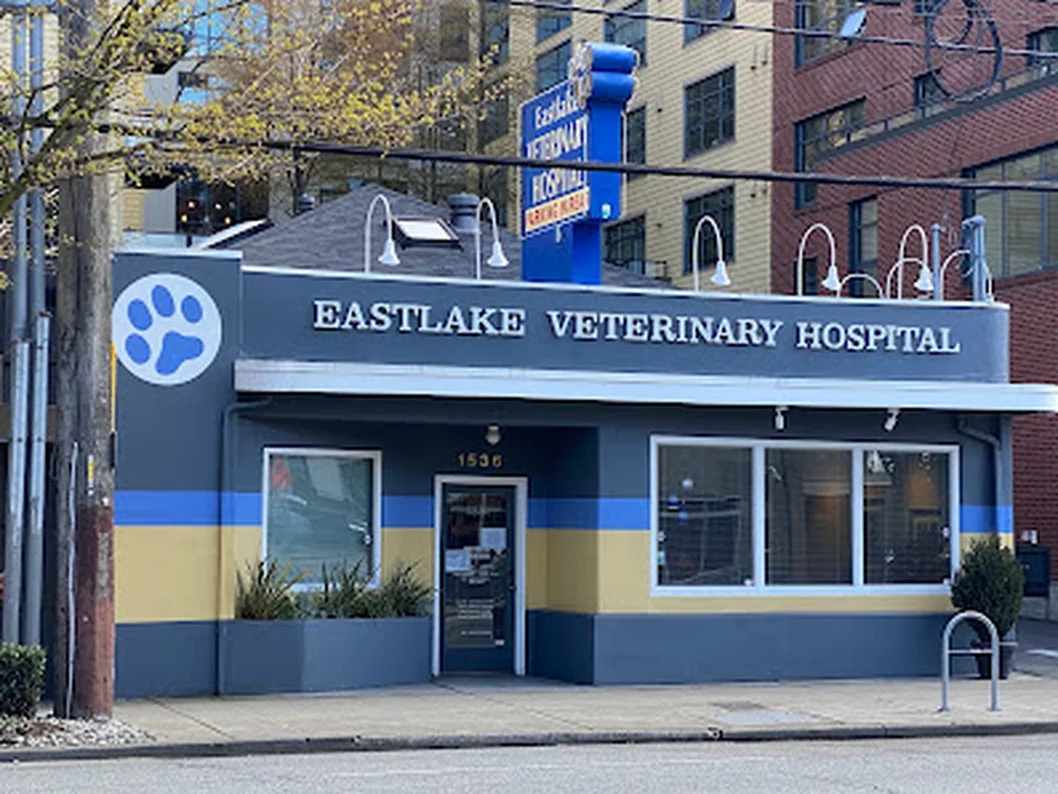 Eastlake Veterinary Hospital, Seattle